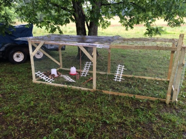 our first order of business was to make a temporary (very rough) chicken coop. the space is big enough for the chickens to run around & it also has a roof to keep them dry. the best part about this design is it only took an hour to build ;)